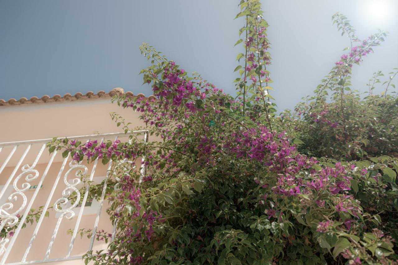 Ecoresort Zefyros