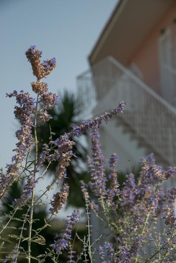 Hotel Ecoresort Zefyros Agios Kirikos (Zakynthos)